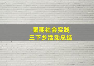 暑期社会实践三下乡活动总结