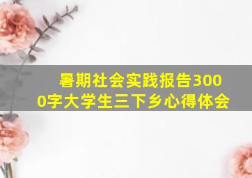 暑期社会实践报告3000字大学生三下乡心得体会