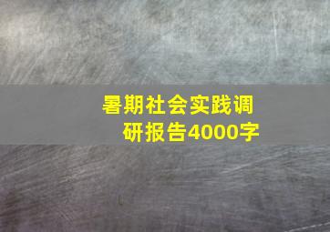 暑期社会实践调研报告4000字