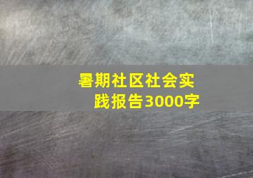 暑期社区社会实践报告3000字