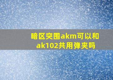 暗区突围akm可以和ak102共用弹夹吗