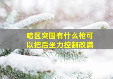 暗区突围有什么枪可以把后坐力控制改满