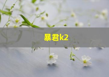 暴君k2