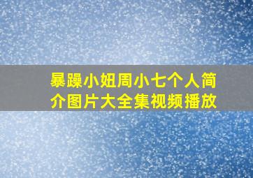 暴躁小妞周小七个人简介图片大全集视频播放