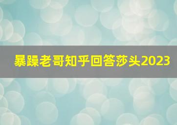 暴躁老哥知乎回答莎头2023