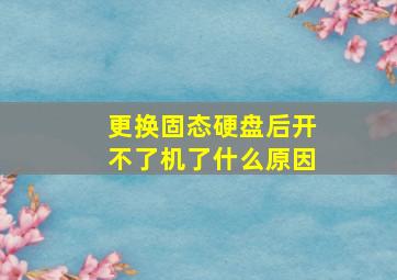 更换固态硬盘后开不了机了什么原因