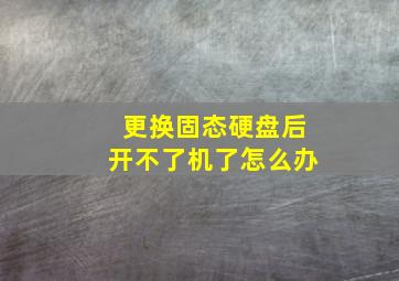 更换固态硬盘后开不了机了怎么办