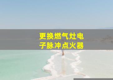 更换燃气灶电子脉冲点火器