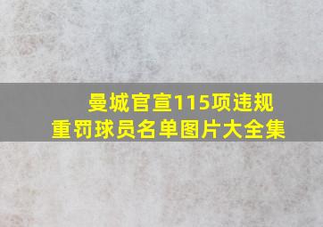 曼城官宣115项违规重罚球员名单图片大全集