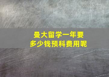 曼大留学一年要多少钱预科费用呢