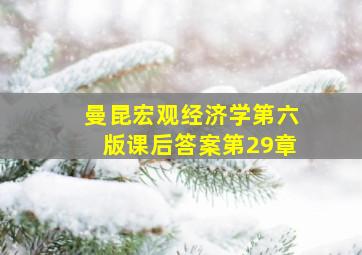 曼昆宏观经济学第六版课后答案第29章