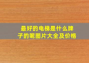 最好的电梯是什么牌子的呢图片大全及价格