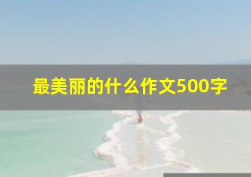 最美丽的什么作文500字