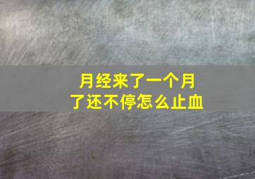 月经来了一个月了还不停怎么止血