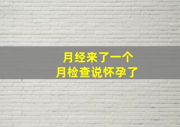 月经来了一个月检查说怀孕了