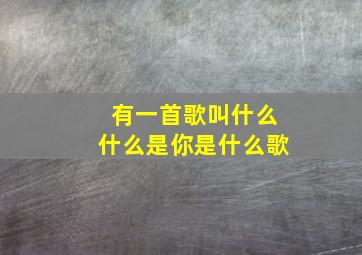 有一首歌叫什么什么是你是什么歌