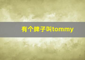 有个牌子叫tommy