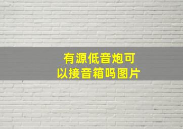 有源低音炮可以接音箱吗图片