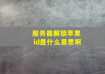 服务器解锁苹果id是什么意思啊