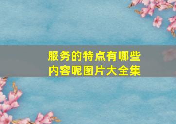 服务的特点有哪些内容呢图片大全集