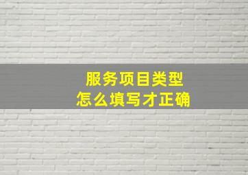 服务项目类型怎么填写才正确