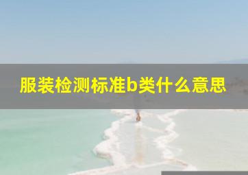 服装检测标准b类什么意思