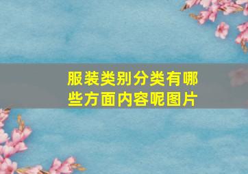 服装类别分类有哪些方面内容呢图片