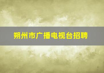 朔州市广播电视台招聘