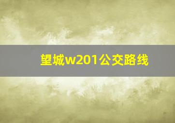 望城w201公交路线