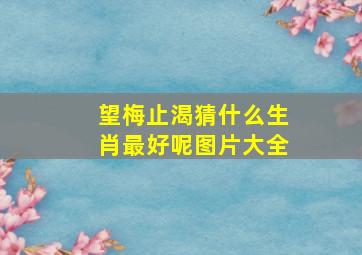 望梅止渴猜什么生肖最好呢图片大全