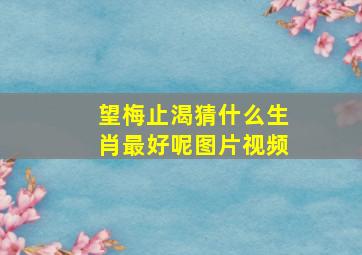 望梅止渴猜什么生肖最好呢图片视频