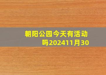 朝阳公园今天有活动吗202411月30