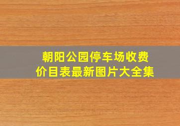 朝阳公园停车场收费价目表最新图片大全集