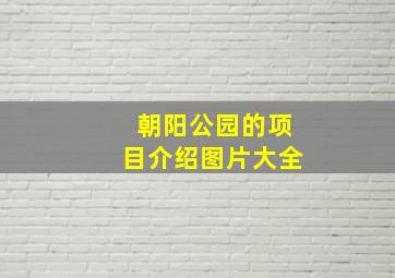 朝阳公园的项目介绍图片大全