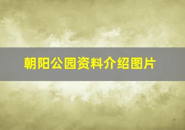 朝阳公园资料介绍图片