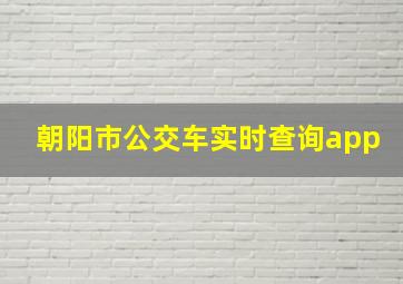 朝阳市公交车实时查询app