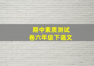 期中素质测试卷六年级下语文