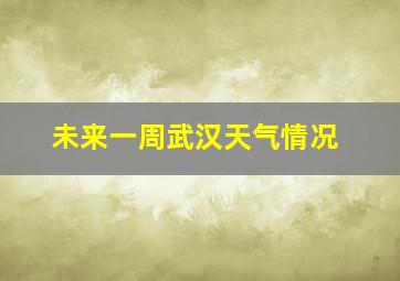 未来一周武汉天气情况