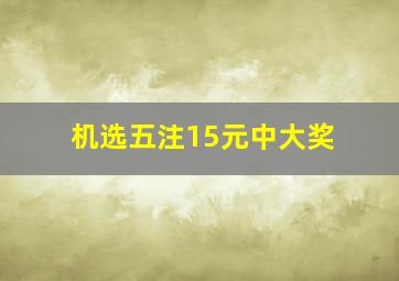 机选五注15元中大奖