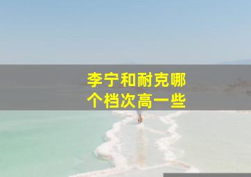 李宁和耐克哪个档次高一些