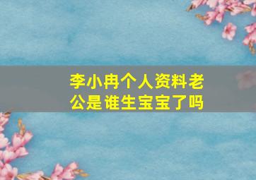 李小冉个人资料老公是谁生宝宝了吗