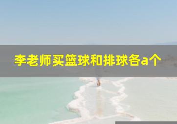 李老师买篮球和排球各a个