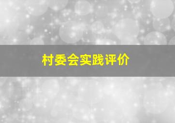 村委会实践评价