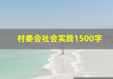 村委会社会实践1500字