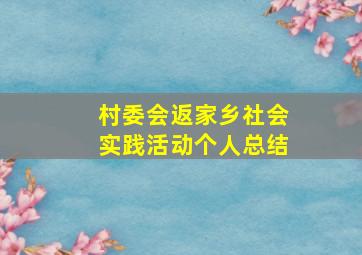 村委会返家乡社会实践活动个人总结