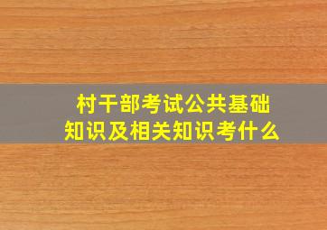 村干部考试公共基础知识及相关知识考什么