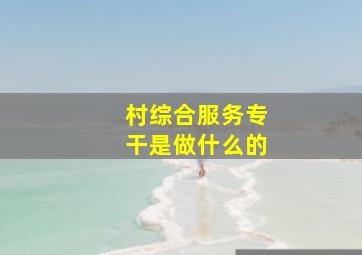 村综合服务专干是做什么的