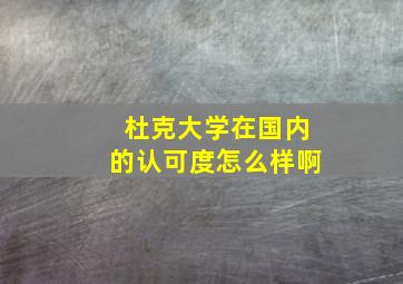 杜克大学在国内的认可度怎么样啊