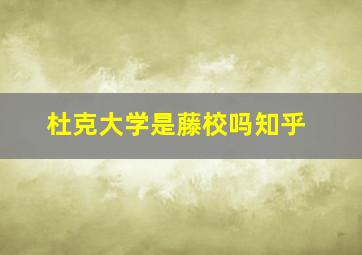 杜克大学是藤校吗知乎