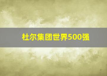 杜尔集团世界500强